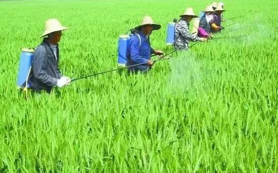 太陽能殺蟲燈哪家好？不能只圖價格便宜，否則得不償失