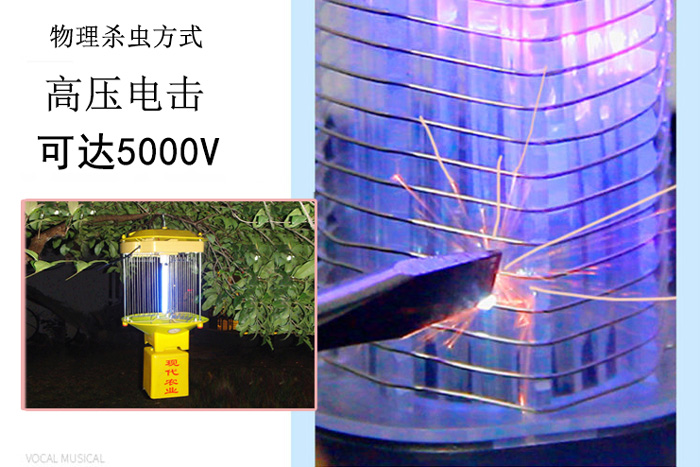 高壓殺蟲燈什么價(jià)格，讓尚科告訴你