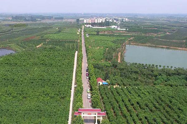 合肥果園用太陽(yáng)能殺蟲燈批量采購(gòu)多少錢