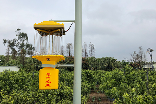 太陽(yáng)能監(jiān)控太陽(yáng)能殺蟲燈讓茶園更安全