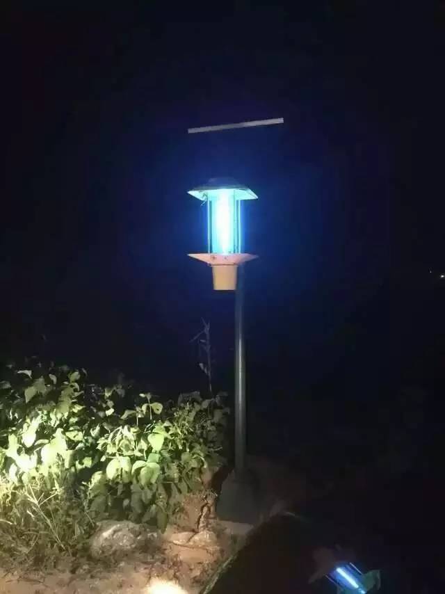太陽能殺蟲燈哪家好？尚科殺蟲燈夜間工作圖片