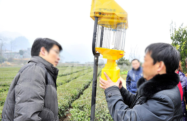 太陽能殺蟲燈燈具安裝攻略，注意事項大全，一定要看