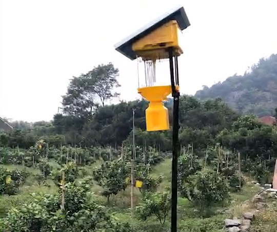 高空殺蟲燈的作用，高空殺蟲燈有用嗎