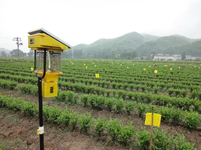 太陽能殺蟲燈應用范圍是什么