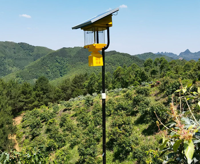 風(fēng)吸式太陽能殺蟲燈工作原理，總共5個(gè)步驟